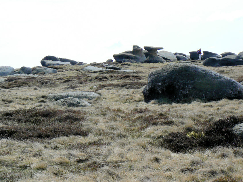 Bleaklow Stones Bleaklow Stones